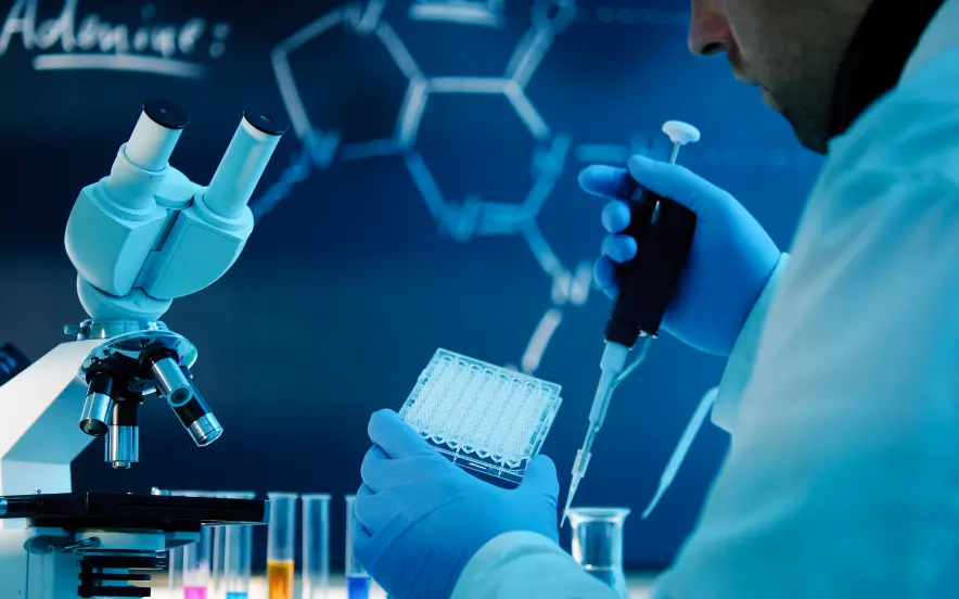 Rat Tumor Necrosis Factor Alpha (TNFa) ELISA Kit