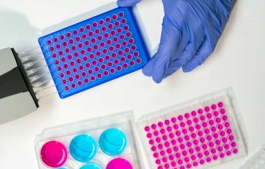 Human Interleukin 11 (IL11) ELISA Kit
