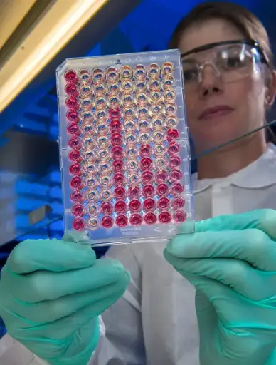 [EIA07821p] Porcine anti-cell membrane DNA antibody (cmDNA) ELISA Kit