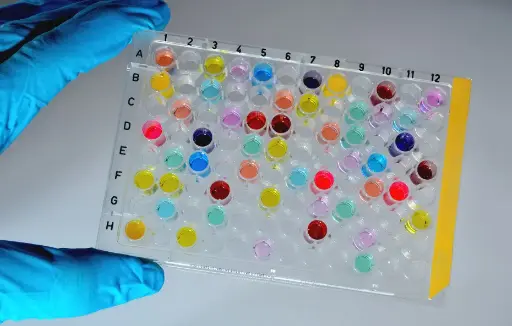 [RDR-LAMC2-Hu-01] Human Laminin Gamma 2 (LAMC2) ELISA Kit