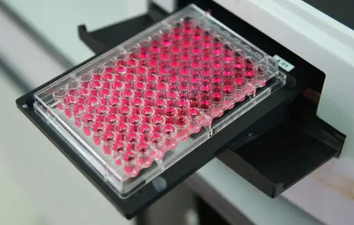 [RDR-Vaspin-Hu-01] Human Visceral Adipose Tissue Derived Serine Protease Inhibitor (Vaspin) ELISA Kit