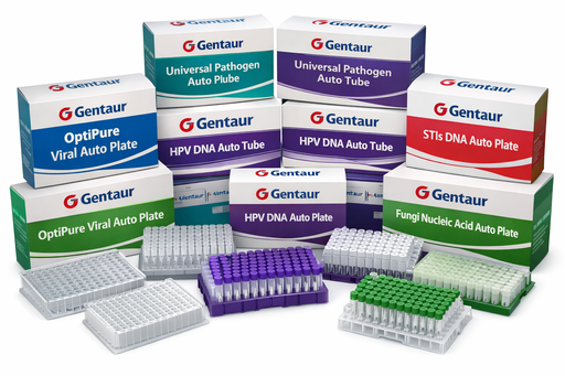 [61HA46] HPV DNA Auto Plate